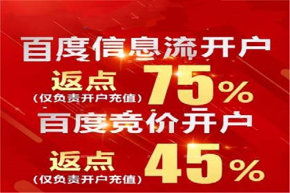 竞价排名案例分析：电商行业
